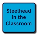 Steelhead in the Classroom